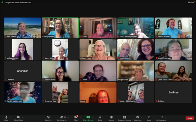 A picture of a zoom meeting with 15 rectangular pictures of smiling people